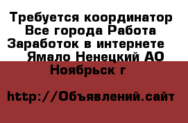 Требуется координатор - Все города Работа » Заработок в интернете   . Ямало-Ненецкий АО,Ноябрьск г.